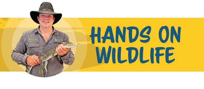 Hands On Wildlife